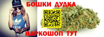 крисы Обь