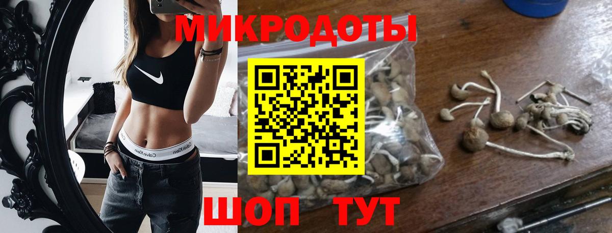 Псилоцибиновые грибы Cubensis Фрязино