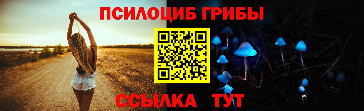 Галлюциногенные грибы мицелий  Вход с VPN  Фрязино 